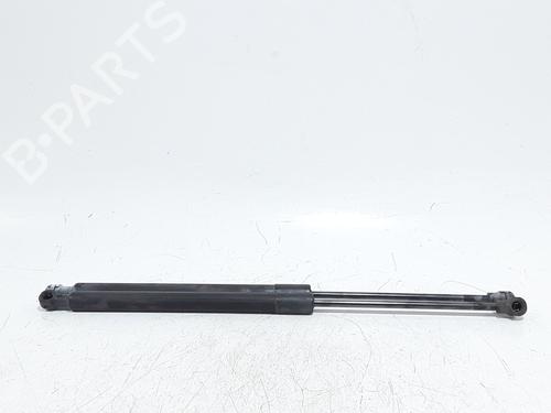 tailgate-lift-support-renault-clio-iv-bh_-2012-2013-2014-2015-2016-2017-2018-2019-2020-2021-37728967 main image