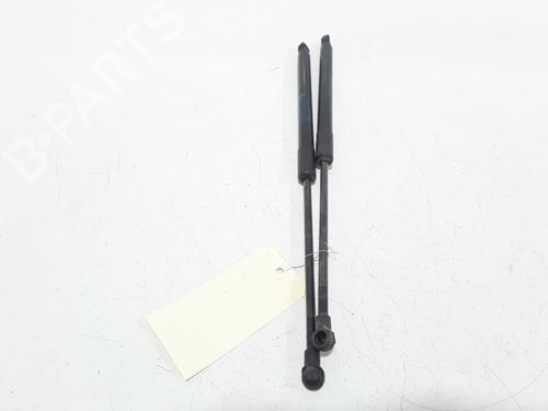 Tailgate lift support BMW 1 (F20) 118 d | BP25167993C138 