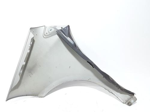 Right front fenders MERCEDES-BENZ A-CLASS (W169) A 170 (169.032, 169.332) | BP29600149C42 