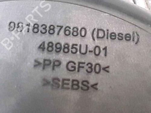 Fuel flap PEUGEOT 2008 I (CU_) 1.2 THP 130 / PureTech 130 | BP25183270C131