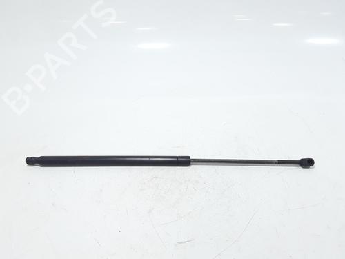 Used Hood lift support LAND ROVER RANGE ROVER SPORT I (L320) 3.6 D 4x4 (272 hp) 25167210
