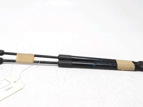 Used Tailgate lift support RENAULT MEGANE III Hatchback (BZ0/1_, B3_) 1.5 dCi (BZ09, BZ0D, BZ1W, BZ29, BZ14) (110 hp) 25168308