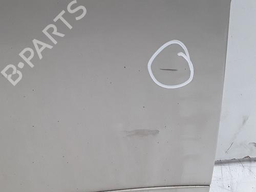 Right front door RENAULT SCÉNIC III (JZ0/1_) 1.9 dCi (JZ0J, JZ1J, JZ1K, JZ1S) | BP29576904C3 