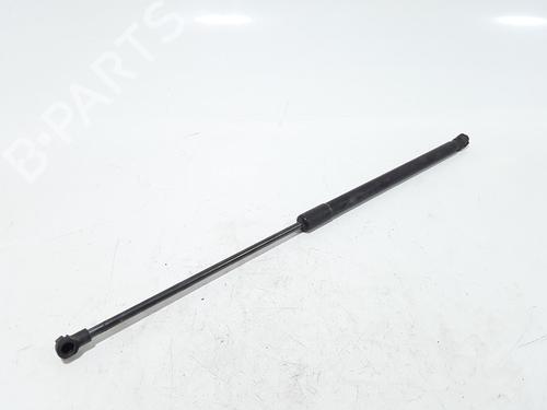 Hood lift support TOYOTA RAV 4 II (_A2_) 2.0 D 4WD (CLA20_, CLA21_, CLA20R, CLA21R) | BP25167838C139 