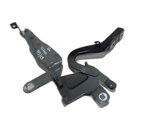 Hinge/Door check strap RENAULT CLIO IV (BH_) 1.5 dCi 90 | BP29045238C146 