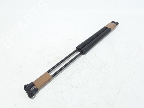 Tailgate lift support PEUGEOT 208 I (CA_, CC_) 1.6 HDi | BP25167929C138