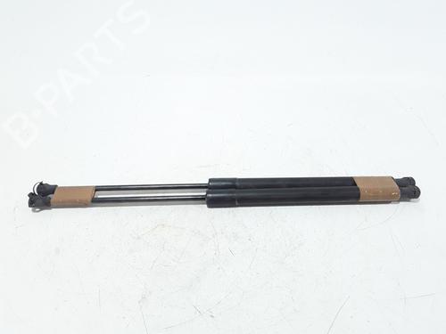 Tailgate lift support PEUGEOT 208 I (CA_, CC_) 1.6 HDi | BP25167929C138