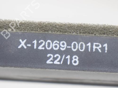 Electronic module TESLA MODEL S (5YJS) P100D AWD | BP8838714M83 