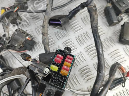 Other TRIUMPH MOTORCYCLES THRUXTON Thruxton 900 (986ME2) | BP33371952O1 - Image 4