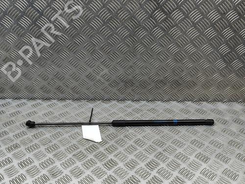 Tailgate lift support MERCEDES-BENZ GLC (X253) 300 d 4-matic (253.919) | BP29731138C138 