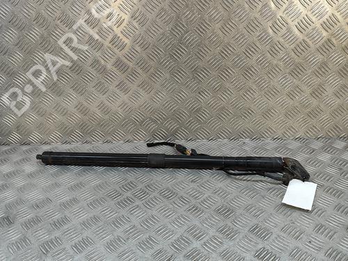Tailgate lift support PORSCHE CAYENNE (92A) 3.0 Diesel | BP25615330C138 