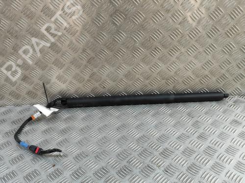 Used Tailgate lift support NISSAN QASHQAI III (J12) 1.3 DIG-T All-wheel Drive (158 hp) 28955319