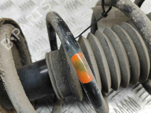 Left front shock absorber SUZUKI GRAND VITARA II (JT, TE, TD) 2.4 All-wheel Drive (JT424, JB424, TDA4) | BP29569930M16 
