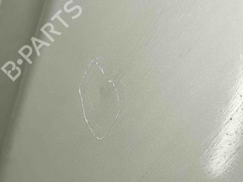 Hood TOYOTA RAV 4 III (_A3_) 2.2 D 4WD (ALA30_, ALA30R) | BP29867349C1