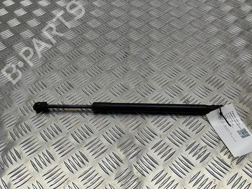 Used Hood lift support Hood lift support BMW X5 (F15, F85) xDrive 30 d (258 hp) 19501021 19501021