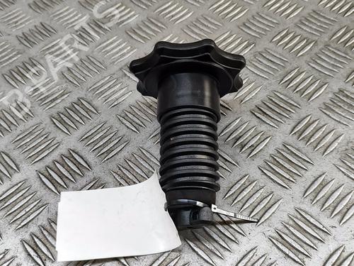Support VW GOLF VII (5G1, BQ1, BE1, BE2) e-Golf | BP27350499C155 
