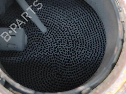 Catalyst VW PASSAT B8 Variant (3G5, CB5) 2.0 TDI | BP29829965M10 