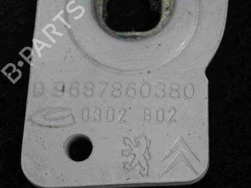 Hinge/Door check strap PEUGEOT 508 SW I (8E_) 1.6 HDi | BP14659858C146 