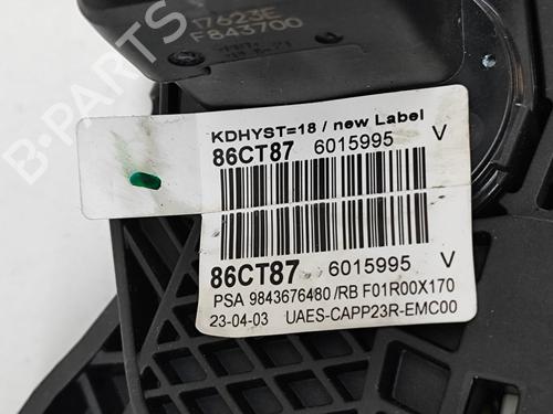 Pedal PEUGEOT 5008 II (MC_, MJ_, MR_, M4_) 1.5 BlueHDi 130 (MCYHZJ, MCYHZR, MCYHZX) | BP28676488I4 
