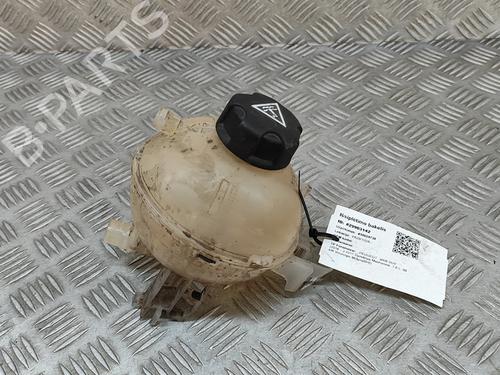 Used Expansion tank PEUGEOT 3008 II SUV (MC_, MR_, MJ_, M4_) 1.6 BlueHDi 120 (120 hp) 25219139