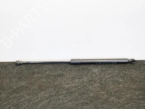 Used Tailgate lift support DACIA SANDERO II 1.5 dCi 75 / Blue dCi 75 (B8JW, B8M4, B8AH, B8M7, B8M6) (75 hp) 14661587