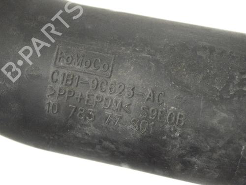 Pipe FORD FIESTA VI Van 1.0 EcoBoost | BP30223767M125