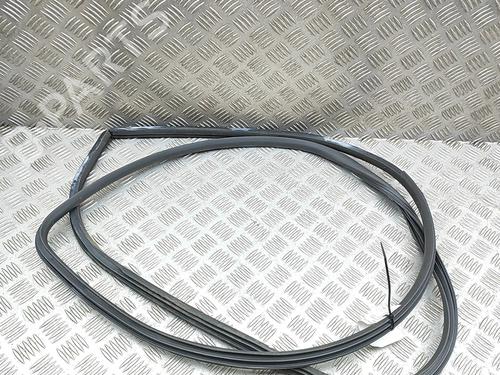 Gummiliste Gummiliste NISSAN GT-R (R35) V6 (530 hp) 33962691 33962691