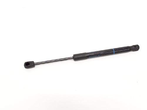 Used Hood lift support BMW 7 (F01, F02, F03, F04) 730 d (258 hp) 14609905