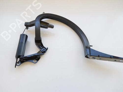 hingedoor-check-strap-audi-a6-c7-4g2-4gc-2010-2011-2012-2013-2014-2015-2016-2017-2018-2019-30283232 main image