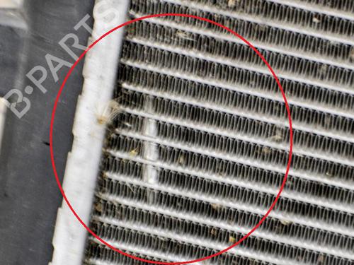 Water radiator VW TIGUAN (5N_) 2.0 TDI 4motion | BP8354286M31 