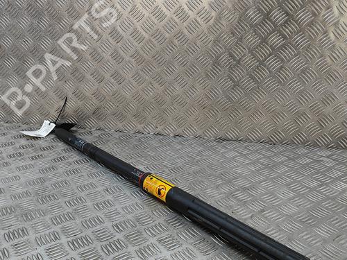 Tailgate lift support TOYOTA LAND CRUISER PRADO (_J15_) 2.8 D-4D (GDJ150_, GDJ155_, GDJ150, GDJ151) | BP26311379C138 