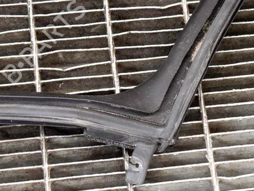 Gummiliste TESLA MODEL S (5YJS) 75 | BP20231383C142 