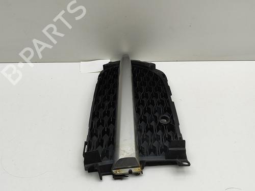 Grille JAGUAR F-PACE (X761) 2.0 TD4 | BP29830535C40