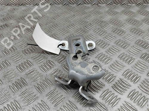 Hinge/Door check strap TOYOTA PRIUS (_W5_) 1.8 Hybrid (ZVW50_, ZVW51_) | BP24306665C146 