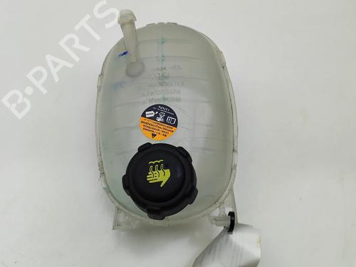 ekpansionstank-nissan-juke-f16_-2019-28433460 main image