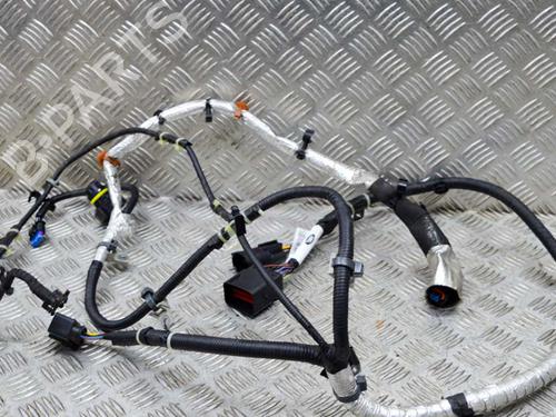 Used Wiring harness LAND ROVER DISCOVERY V (L462) D300 MHEV 4x4 (300 hp) 29391166