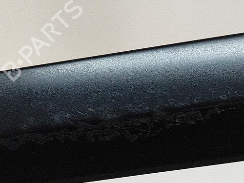Door moulding trim TESLA MODEL 3 (5YJ3) EV AWD | BP28589988C150 