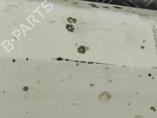 Right front fenders MERCEDES-BENZ S-CLASS (W126) 300 SD (126.120) | BP29890775C42