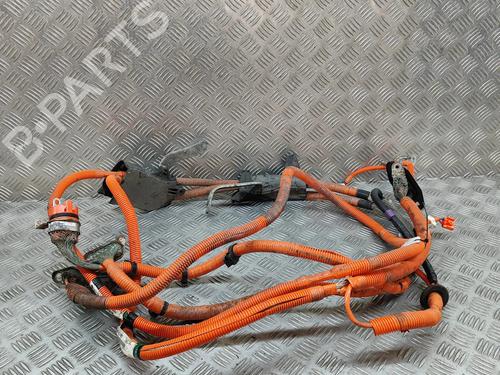 Used Wiring harness LEXUS RX (_L1_) 450h AWD (GYL15_) (249 hp) 25216963