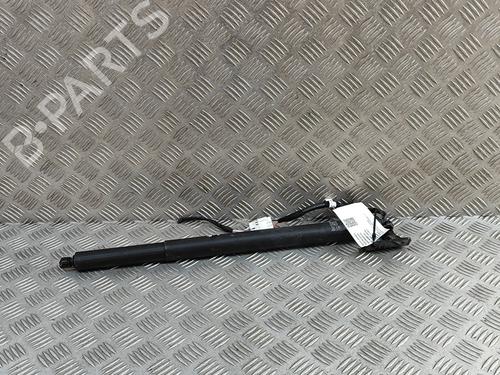 Tailgate lift support RENAULT AUSTRAL E-TECH 200 Hybrid (HGM2) | BP29007695C138 