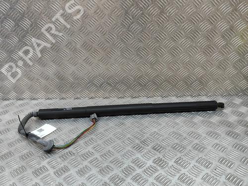 tailgate-lift-support-tesla-model-s-5yjs-2012-25614923 main image