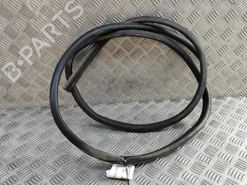 Gummiliste Gummiliste NISSAN QASHQAI III (J12) 1.3 DIG-T (140 hp) 33372434 33372434