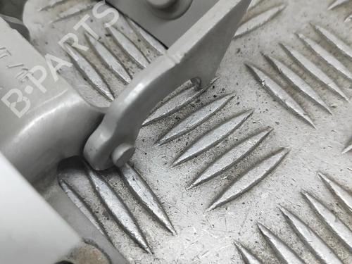 Hinge/Door check strap TOYOTA PROACE Van (MDZ_) 1.6 D4d (MDZ2) | BP26733538C146 