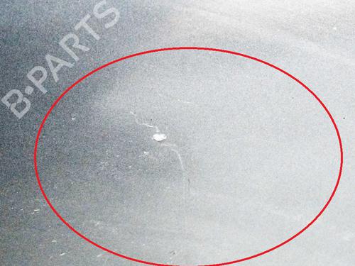 Left front door NISSAN PRIMERA (P12) 2.2 dCi | BP8841422C2 
