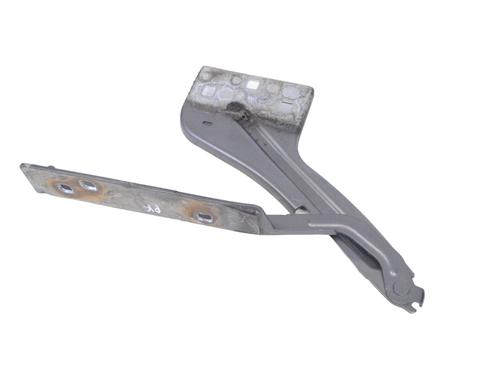 Used Hinge/Door check strap JAGUAR F-PACE (X761) 2.0 TD4 (180 hp) 30246413