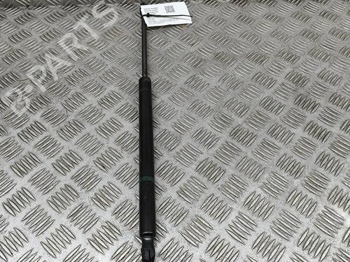 Used Tailgate lift support CHEVROLET TRAILBLAZER (KC_) 4.2 AWD (279 hp) 24818744