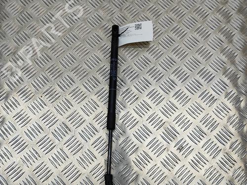 Hood lift support BMW 7 (G11, G12) 730 d, Ld | BP19501023C139 