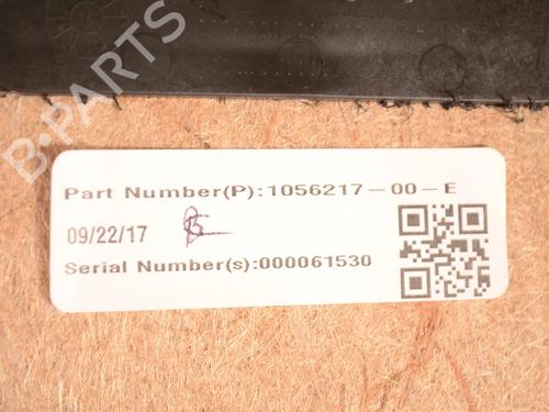 Andre TESLA MODEL X (5YJX) P100D AWD | BP30229116O1 