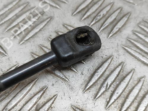 Hood lift support AUDI A3 Sportback (8VA, 8VF) RS3 quattro | BP24142389C139 