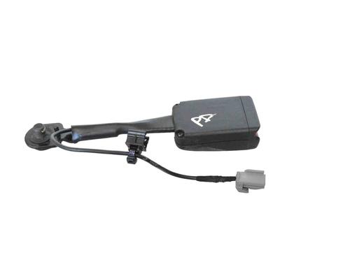 Used Seat buckle TESLA MODEL 3 (5YJ3) EV Performance AWD (462 hp) 30253353